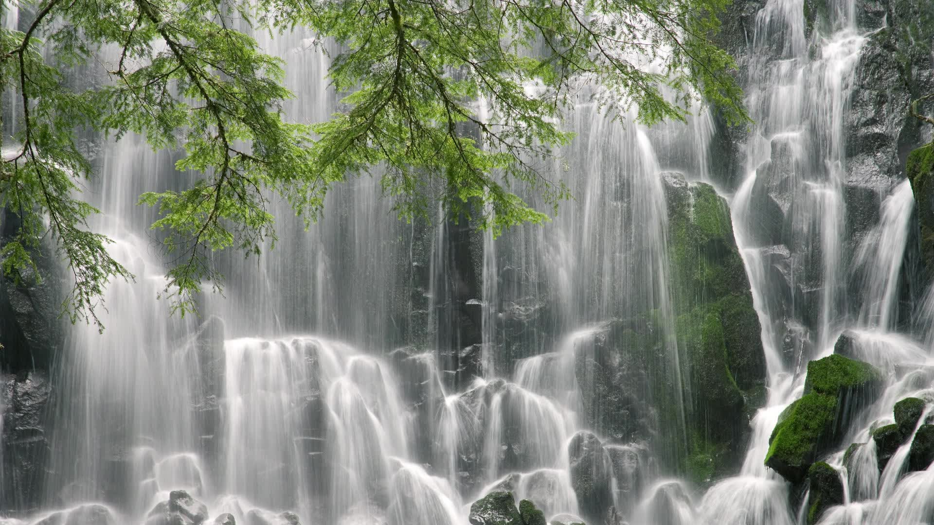 世界拳击公开赛:战术复盘与视频分析成为备战常态,世界拳击大赛视频